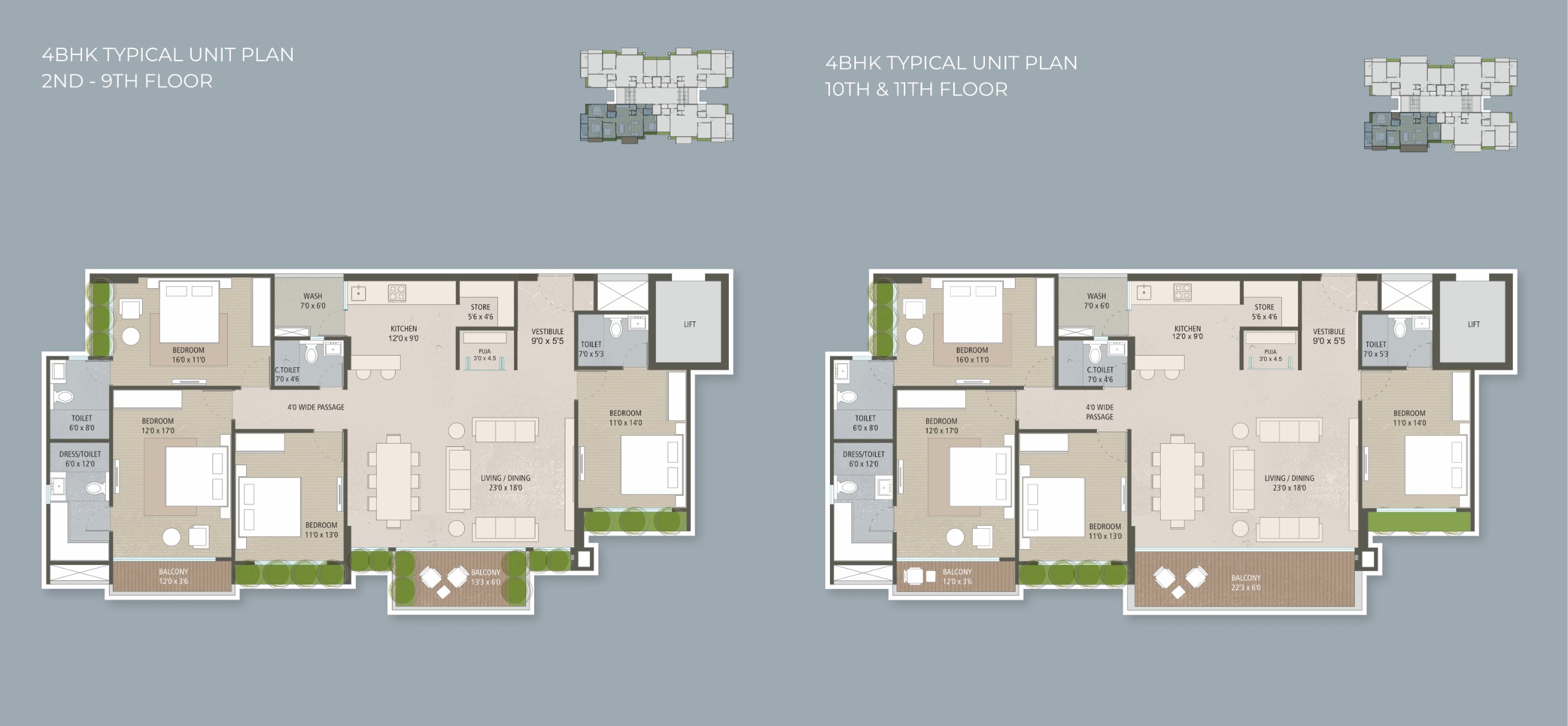 Layout